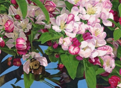 Blossoms and Bee