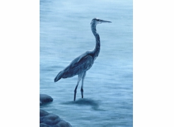 Heron